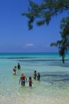 Cayman Island 90-17-01395