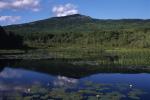 Monadnock 90-20-00340