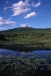 Monadnock 90-20-00346