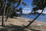 Tortola BVI 90-60-00566