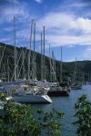 Tortola BVI 90-60-01262