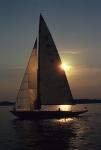 Sports-Sail 75-44-00272