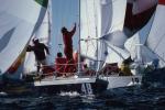 Sports-Sail 75-44-00344