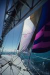 Sports-Sail 75-44-00389