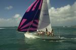 Sports-Sail 75-44-00566