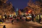 Holiday-Christmas 50-05-01208