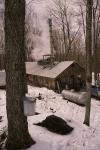 Maple Sugaring 30-20-01705