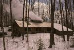 Maple Sugaring 30-20-01715