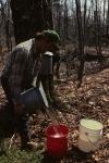 Maple Sugaring 30-20-01771