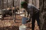 Maple Sugaring 30-20-01780