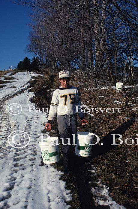 Maple Sugaring 30-20-02073