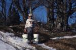 Maple Sugaring 30-20-02086