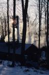 Maple Sugaring 30-20-02127