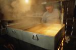 Maple Sugaring 30-20-02814