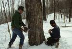 Maple Sugaring 30-20-03003