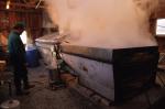 Maple Sugaring 30-20-03044