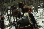 Maple Sugaring 30-20-03066