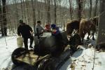 Maple Sugaring 30-20-03146