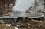 Maple Sugaring 30-20-03319