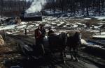 Maple Sugaring 30-20-03368