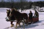 Maple Sugaring 30-20-03436