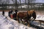 Maple Sugaring 30-20-03467