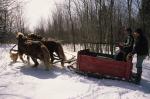 Maple Sugaring 30-20-03482