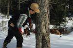 Maple Sugaring 30-20-03507