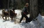 Maple Sugaring 30-20-03516