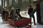 Maple Sugaring 30-20-03548