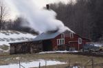 Maple Sugaring 30-20-03612