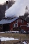 Maple Sugaring 30-20-03618