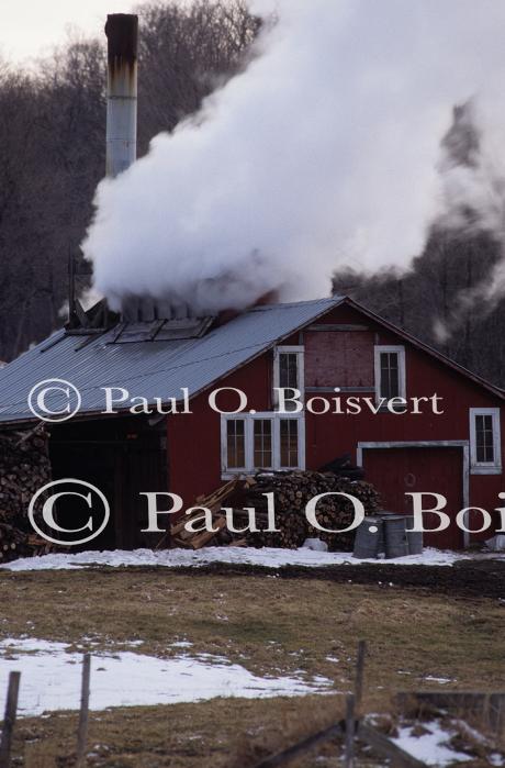 Maple Sugaring 30-20-03618