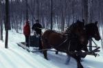 Maple Sugaring 30-20-03726