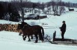 Maple Sugaring 30-20-03729