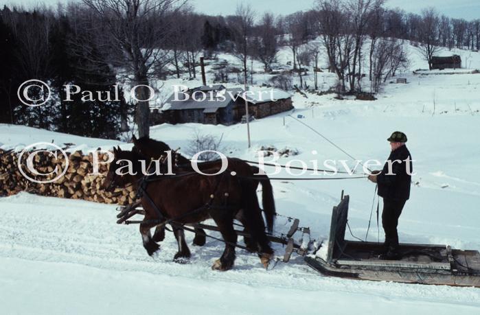 Maple Sugaring 30-20-03729