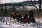 Maple Sugaring 30-20-03742