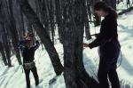 Maple Sugaring 30-20-04081