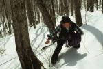 Maple Sugaring 30-20-04099