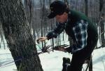 Maple Sugaring 30-20-04109