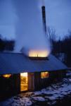 Maple Sugaring 30-20-04395