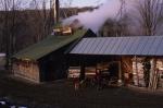 Maple Sugaring 30-20-04455