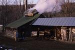 Maple Sugaring 30-20-04464