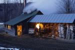 Maple Sugaring 30-20-04583