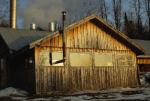 Maple Sugaring 30-20-04638