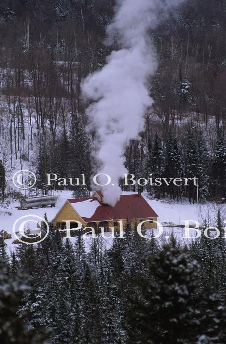 Maple Sugaring 30-20-05087