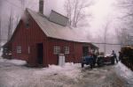 Maple Sugaring 30-20-05450