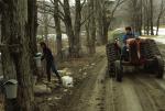 Maple Sugaring 30-20-05755