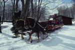 Maple Sugaring 30-20-05999