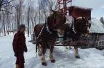 Maple Sugaring 30-20-06008